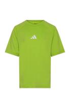 J Gt Pz Tee Tops T-Kortærmet Skjorte Green Adidas Sportswear