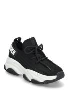 Jprotégé Sneaker Low-top Sneakers Black Steve Madden