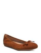 Acor_25_Ks Ballerinasko Ballerinaer Brown UNISA