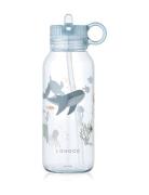 Yang Tritan Water Bottle 500Ml Home Meal Time Blue Liewood