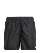 Solid Shorts By Sport Swimshorts Black Adidas Performance