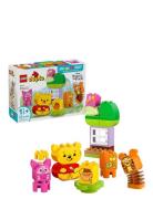 Peter Plys' Fødselsdagsfest Toys Lego Toys Lego duplo Multi/patterned ...