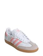 Samba Og J Sport Sneakers Low-top Sneakers White Adidas Originals