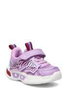 Twinkle Pax Low-top Sneakers Purple PAX