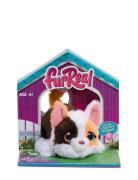 Furreal My Minis 15 Cm - Kitty Toys Interactive Animals & Robots Inter...