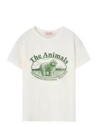Rooster Kid T-Shirt White Logo Tops T-Kortærmet Skjorte Beige THE ANIM...
