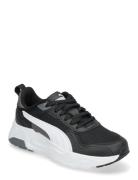 Trinity 2 Lt Sport Sport Shoes Sport Sneakers Sport Low Top Sneakers B...