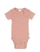 Body S/S Modal Striped Bodysuits Short-sleeved Red Petit Piao