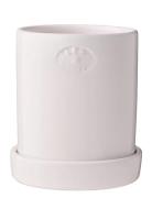 Terracotta Plant Pot Home Decoration Flower Pots White Lexington Home