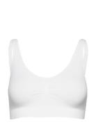 Seamless Soft Bh Lingerie Bras & Tops Soft Bras Tank Top Bras White Li...