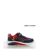 Spiderman Sneakers Low-top Sneakers Navy Spider-man