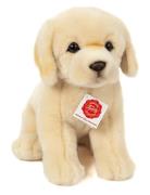 Sitting Golden Retriever 25 Cm Toys Soft Toys Stuffed Animals Beige Te...