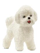 Schleich Bichon Frisé Toys Playsets & Action Figures Animals White Sch...