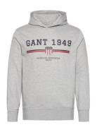 Graphic Hoodie Tops Sweatshirts & Hoodies Hoodies Grey GANT