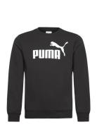 Ess No. 1 Logo Crew Tr B Sport Sweatshirts & Hoodies Sweatshirts Black...