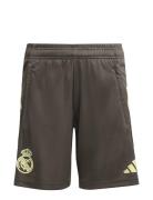 Real Tr Sho Y Bottoms Shorts Sport Shorts Khaki Green Adidas Performan...