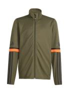 Sq25 Tr Jkt Y Tops Sweatshirts & Hoodies Sweatshirts Khaki Green Adida...