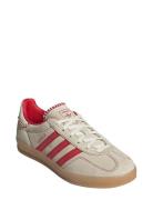 Gazelle Indoor W Sport Women Sport Shoes Sport Sneakers Sport Low Top ...