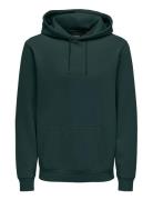 Onsceres Hoodie Sweat Noos Tops Sweatshirts & Hoodies Hoodies Khaki Gr...