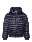 Shiny Light Padded Jacket Foret Jakke Navy GANT