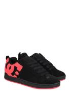 Court Graffik Sport Women Sport Shoes Sport Sneakers Sport Low Top Sne...