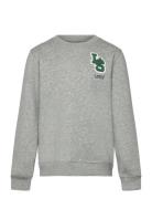 Fw-Crew Tops Sweatshirts & Hoodies Sweatshirts Grey Levi's