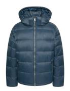 Ls Nylon Zip Off Hood Down Puffe Foret Jakke Navy Calvin Klein Jeans