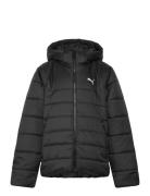Ess Hooded Padded Jacket Sport Jackets & Coats Puffer & Padded Black P...