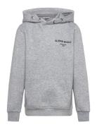 Borg Essential 1 Hoodie Sport Sweatshirts & Hoodies Hoodies Grey Björn...