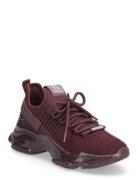 Maxilla-R-E High-top Sneakers Burgundy Steve Madden