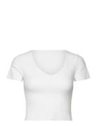 Sense Short Sleeve Bralette Sport Women Sport Clothing Sports Tops & T...