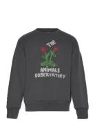 Flowers Dark Frey Bear Sweatshirt Tops Sweatshirts & Hoodies Sweatshir...
