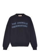 Navy Leo Sweatshirt Tops Sweatshirts & Hoodies Sweatshirts Navy THE AN...