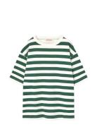 Stripes Freen Collie T-Shirt Tops T-Kortærmet Skjorte Green THE ANIMAL...