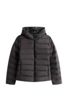 Tjw Slim Hood Prnt Down Jckt Ext Foret Jakke Black Tommy Jeans