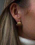 Muli Collection - Guld - Heritage Earrings