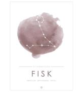Citatplakat Plakat - A3 - Stjernebillede - Fisk - LyserÃ¸d