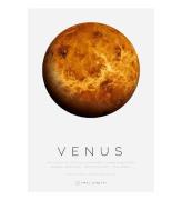 Citatplakat Plakat - A3 - Venus
