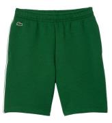 Lacoste Shorts - GrÃ¸n