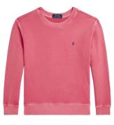 Polo Ralph Lauren Sweatshirt - Adirondack Berry