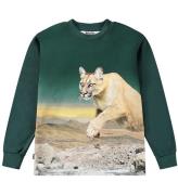 Molo Bluse - Rexton - Puma Green