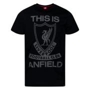 Liverpool T-Shirt - Sort/Grå