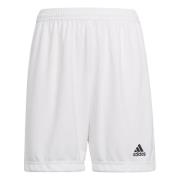 adidas Shorts Entrada 22 - Hvid Børn