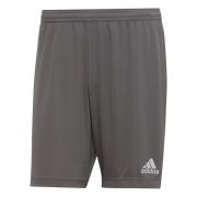 adidas Shorts Entrada 22 - Grå Børn