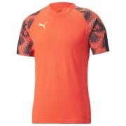 PUMA Trænings T-Shirt IndividualFINAL VM - Rød/Sort