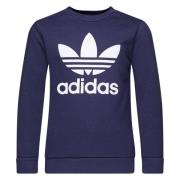 adidas Originals Sweatshirt Crewneck Adicolor Classics Trefoil - Blå/H...