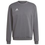 Adidas Entrada 22 sweatshirt