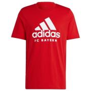 Adidas FC Bayern DNA Graphic T-shirt