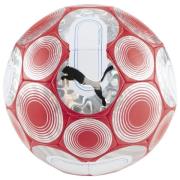 PUMA Fodbold Cage - Rød/Sølv/Blå
