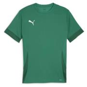 PUMA Trænings T-Shirt teamGOAL - Grøn/Sort